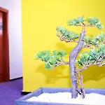 Hotel Princesa Solar 4* - Adults Recommended Torremolinos